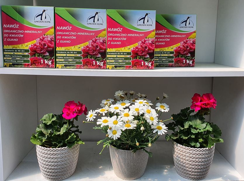 przyjazna Ogrodnicze artykuły, sprzęt, Zielona Niwa Janusz Kopeć, Głogów Małopolski